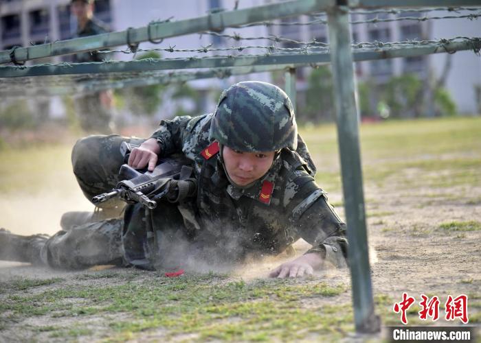 关于新疆队战术出击，击溃福建队的防守的信息